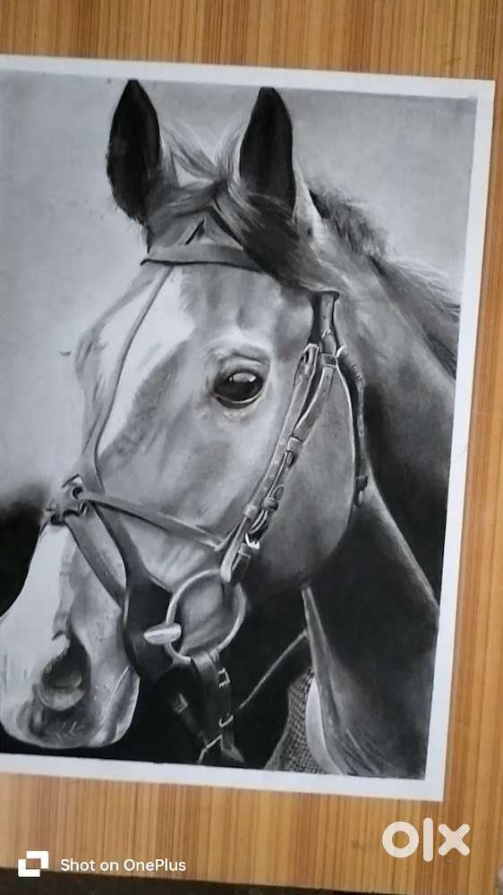 Horse drawing