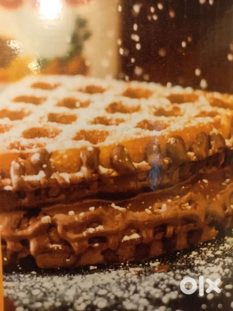 The Belgium waffle co