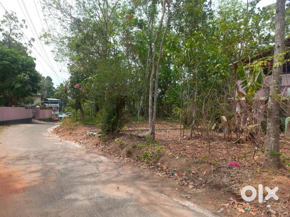 പെരുമ്പുഴ ജംഗ്ഷനിൽ നിന്ന് ഒന്നര കിലോമീറ്റർ