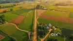 P-01555 Industrial Park Plot For Sale, Nedumpoil, Kannur