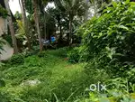 10 CENT APARTMENT & HOUSE SUITABLE LAND INFOPARK FACE2 PADATHIKARA