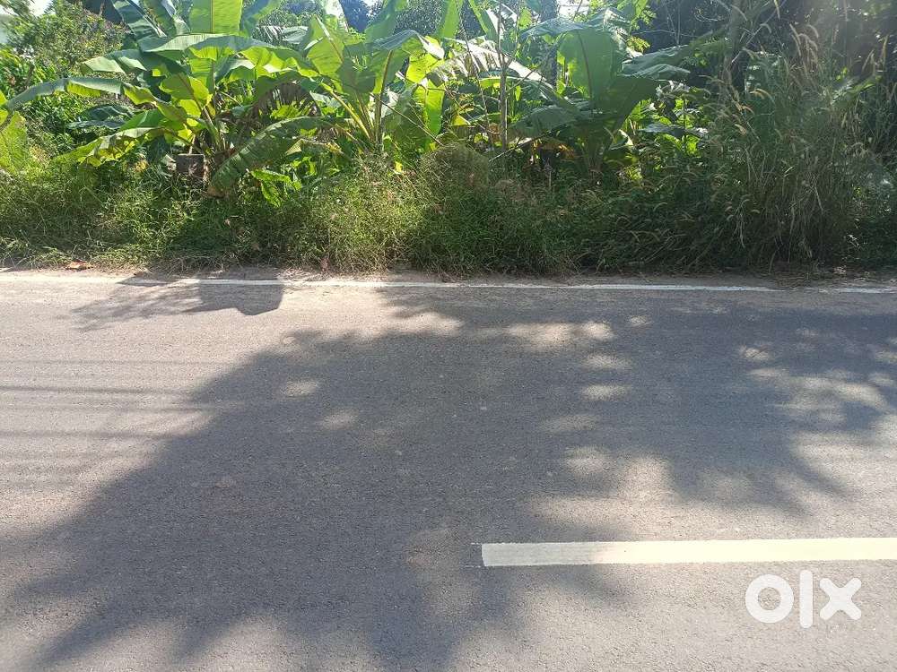 5 cent roadside plot for sale