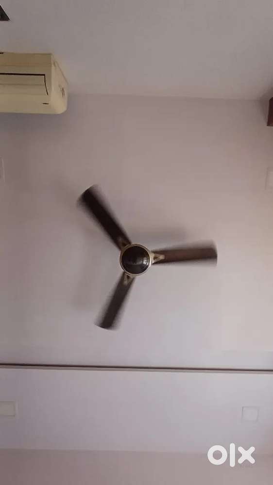 Ceiling fan
