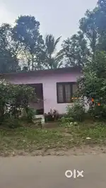 വീടും സ്ഥലവും വില്പനക്ക് ( 10 Cent )