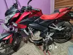 A dream to ride the beast