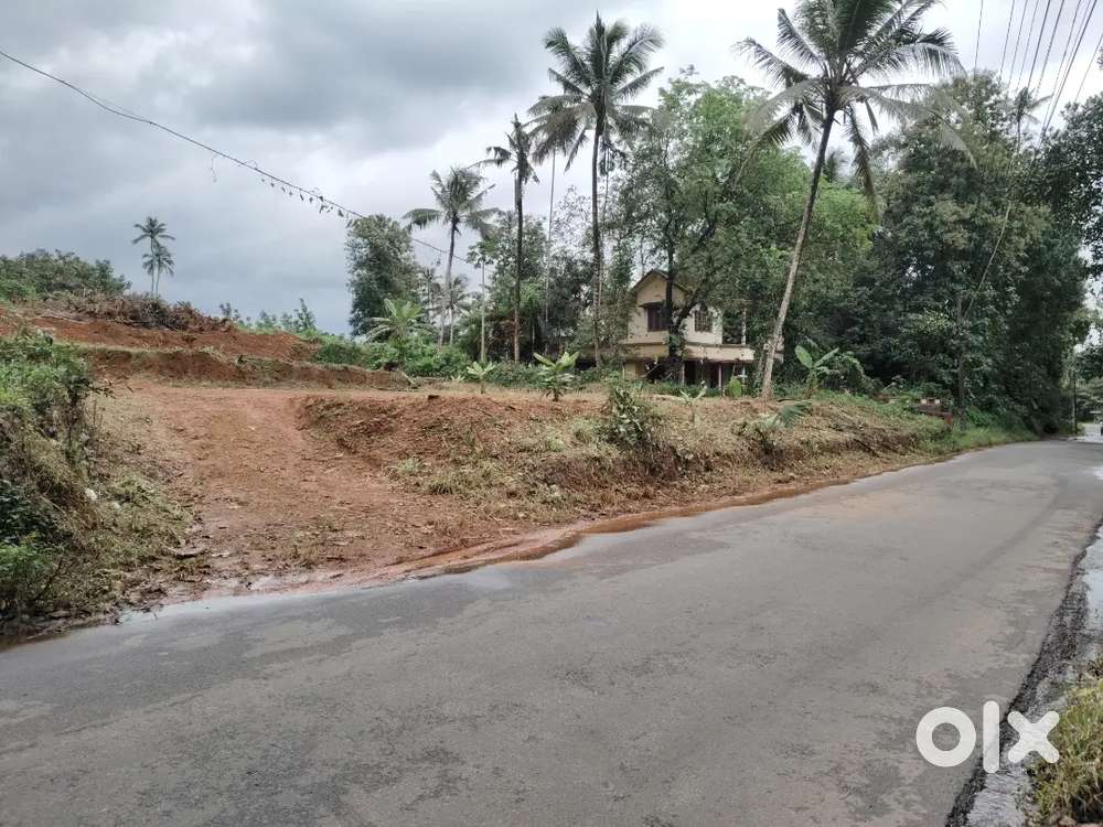 23 Cent  Main Road Frontage