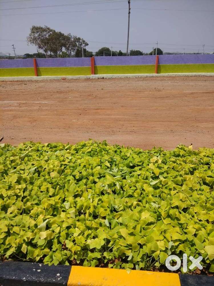 open plots for sale in cheeriyal