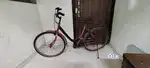 Big Bycycle for girls