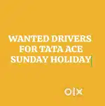 Wanted driver for tata ace