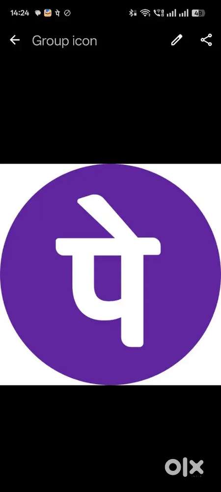 Phone pe Pvt Ltd