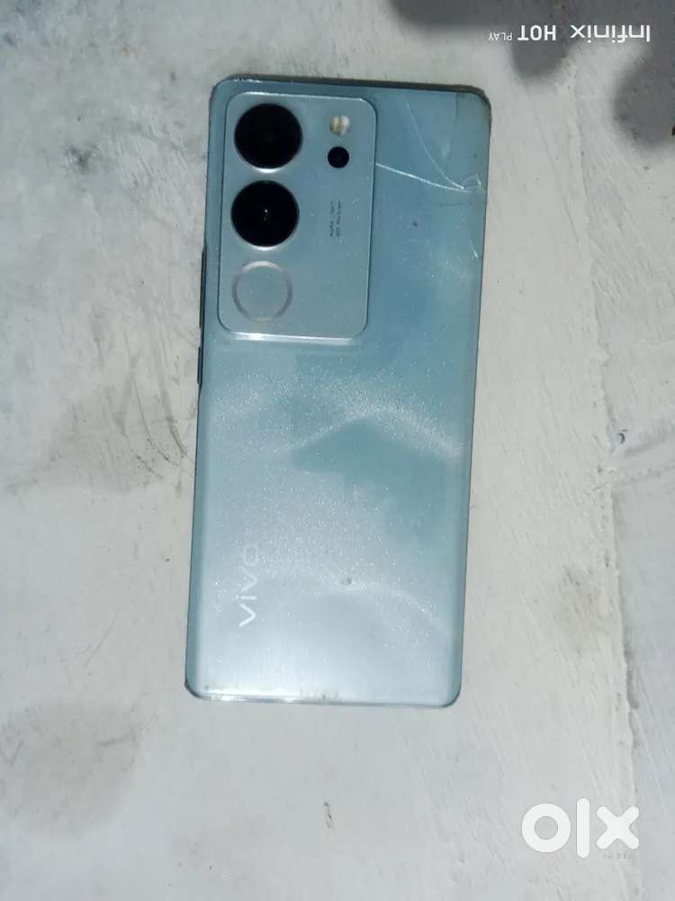 V29 back panel crack