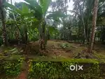 Land 100 meater away from main road