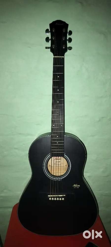 Guitar with Cover & Full String Set