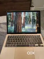 Macbook M1 air display (read description)