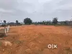 400 Sq Yards Open Plot For Lease at PeddaAmberpet, ORR Service Road