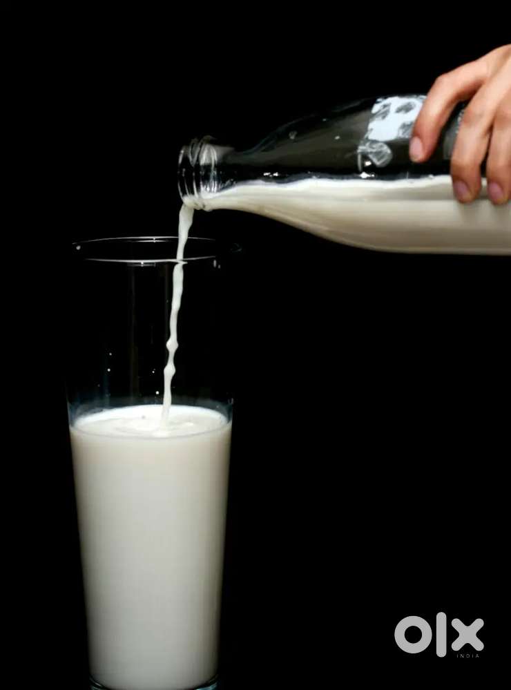 Milk door delivery  in tenali
