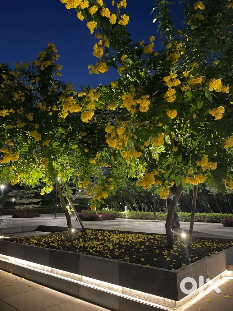 Need restaurant space