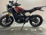 Well maintained Triumph Scrambler 400x