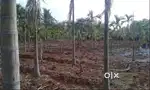 I need farm land 10 to 20 lakes per acre