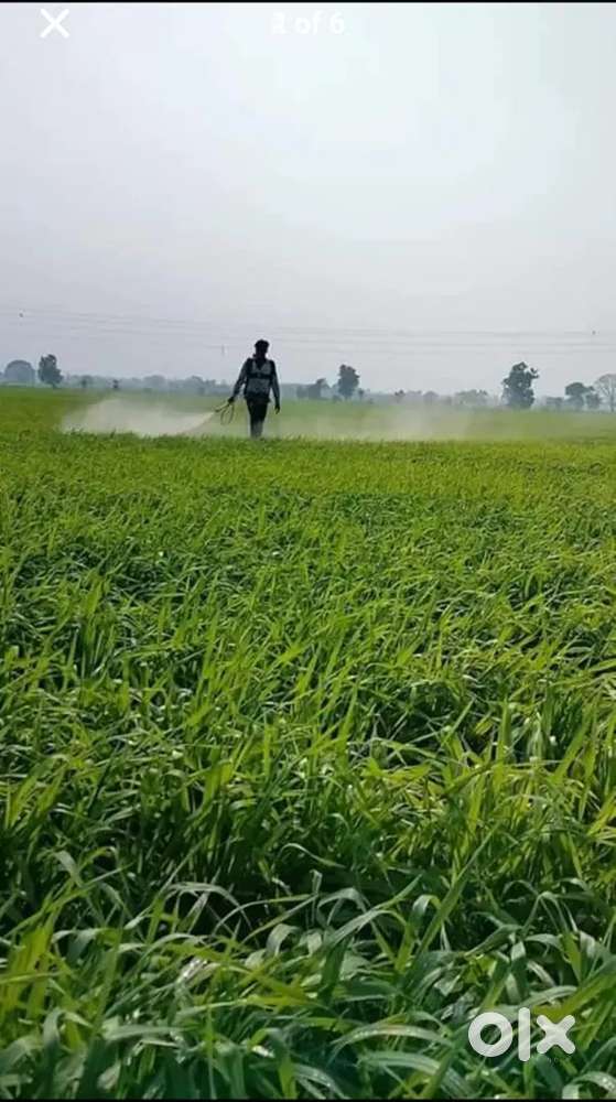 33एकड़ जमीन बिकाऊ है जिला हरदा