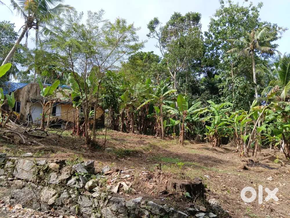Plot for sale in kazhakoottam
