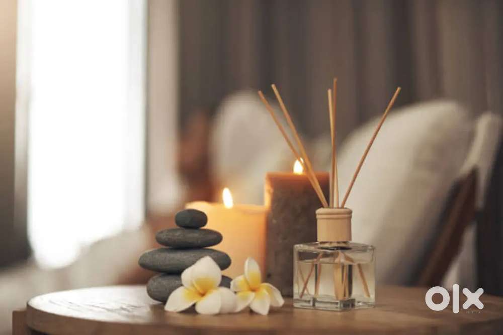 Massage therapist