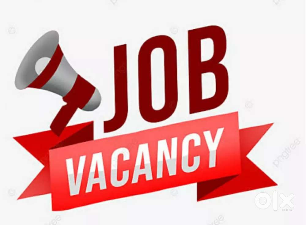 Back office executive