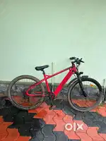 Electric cycle