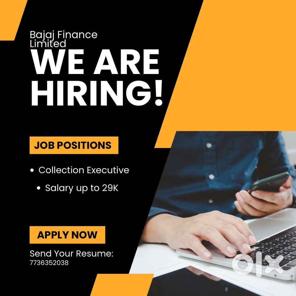 Collection Executive