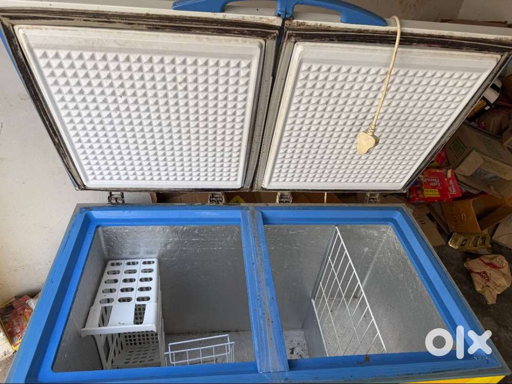 Blue Star Deep fridge 300Ltr