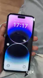 Only for 16500₹