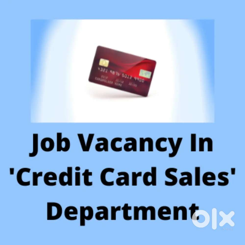 Credit card sales executive