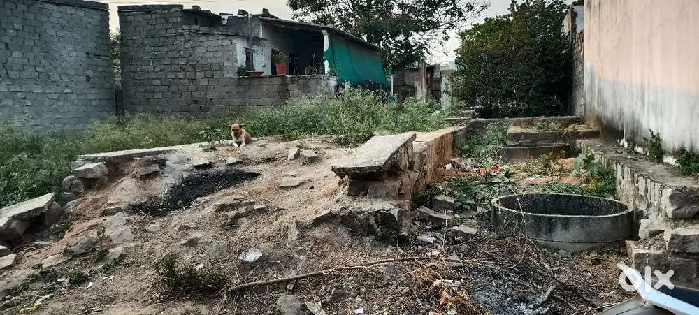 Open flat available for sale. 60sft east facing peace full area