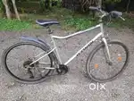 Bitwin Gear Cycle For Sale