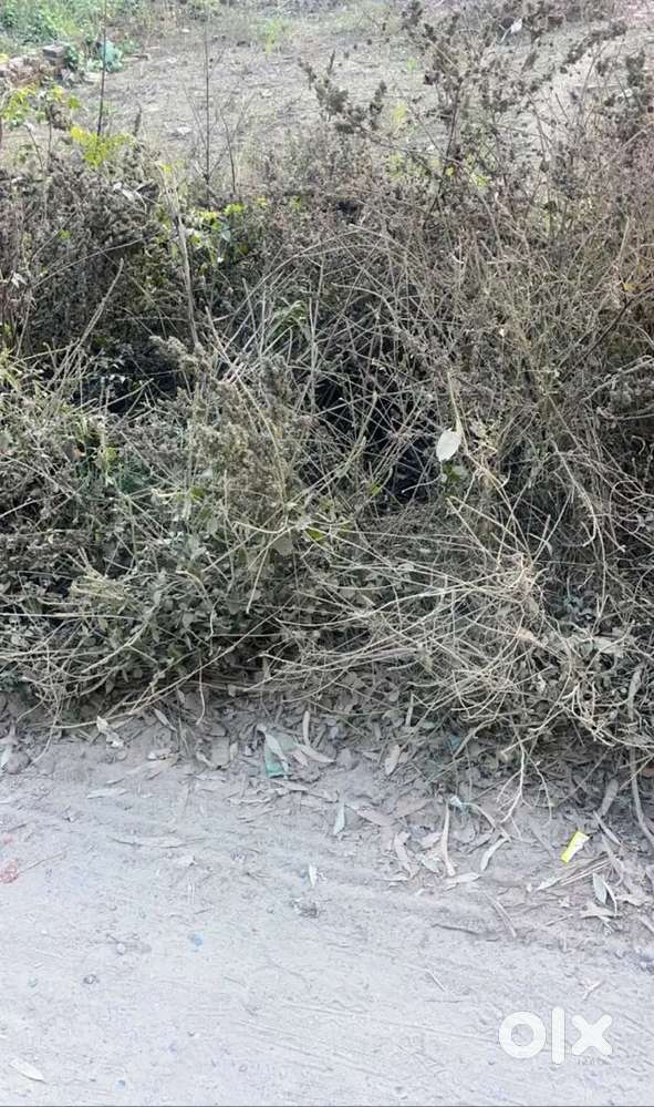 80 गज plot केवल 1275000