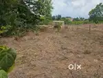 Plot for sale