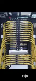 Wanted technicians