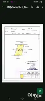 14cent Agri land North sale  - Investment Property