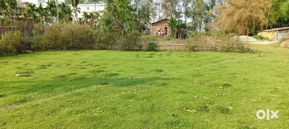 Plot of 1 katha land at Tezpur medical college tumuki  80meter from NH