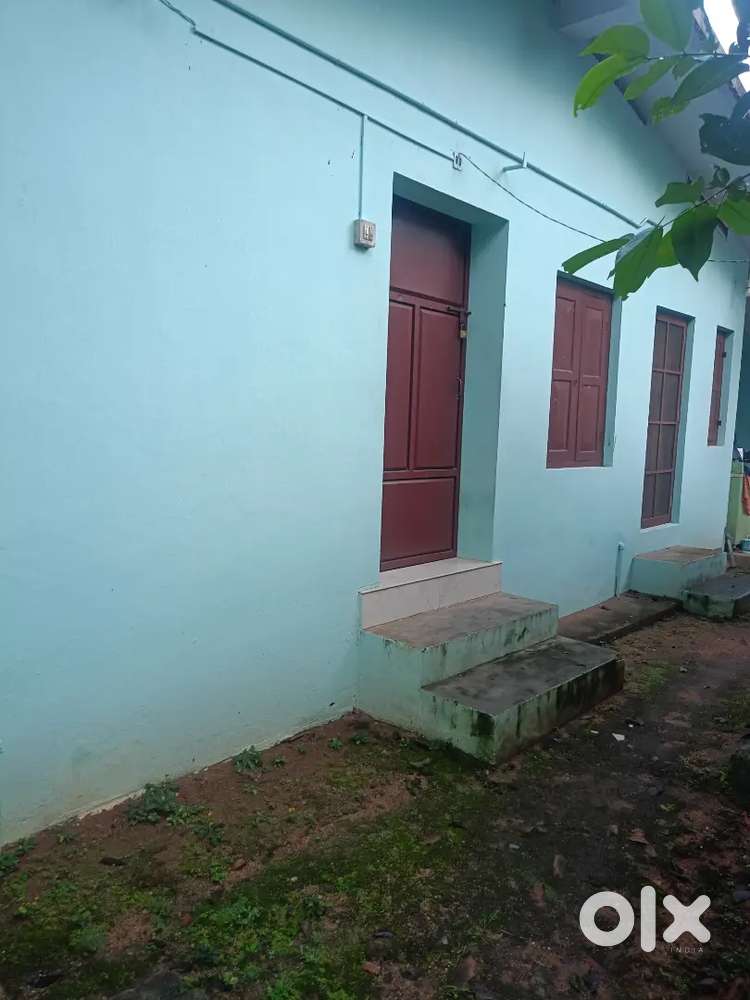 2 bhk house for rent