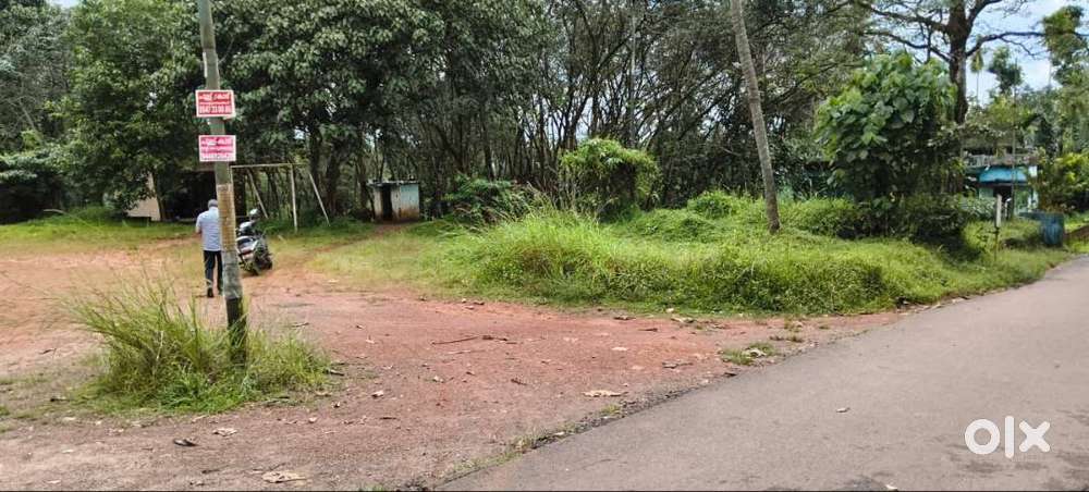 50 Cent (Half Acre) Puthencuriz - Vadavucode