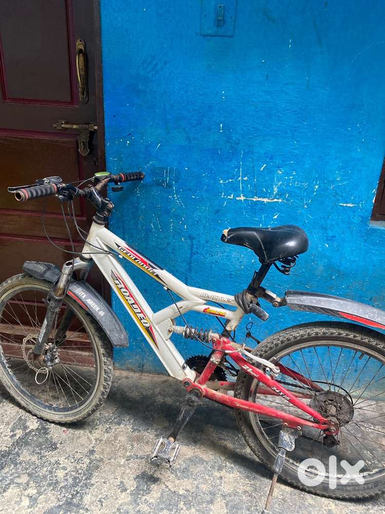 Roadeo cycle