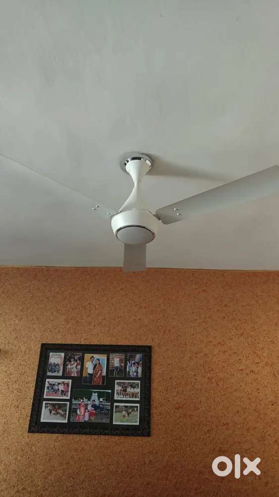 Ceiling Fan Underlight