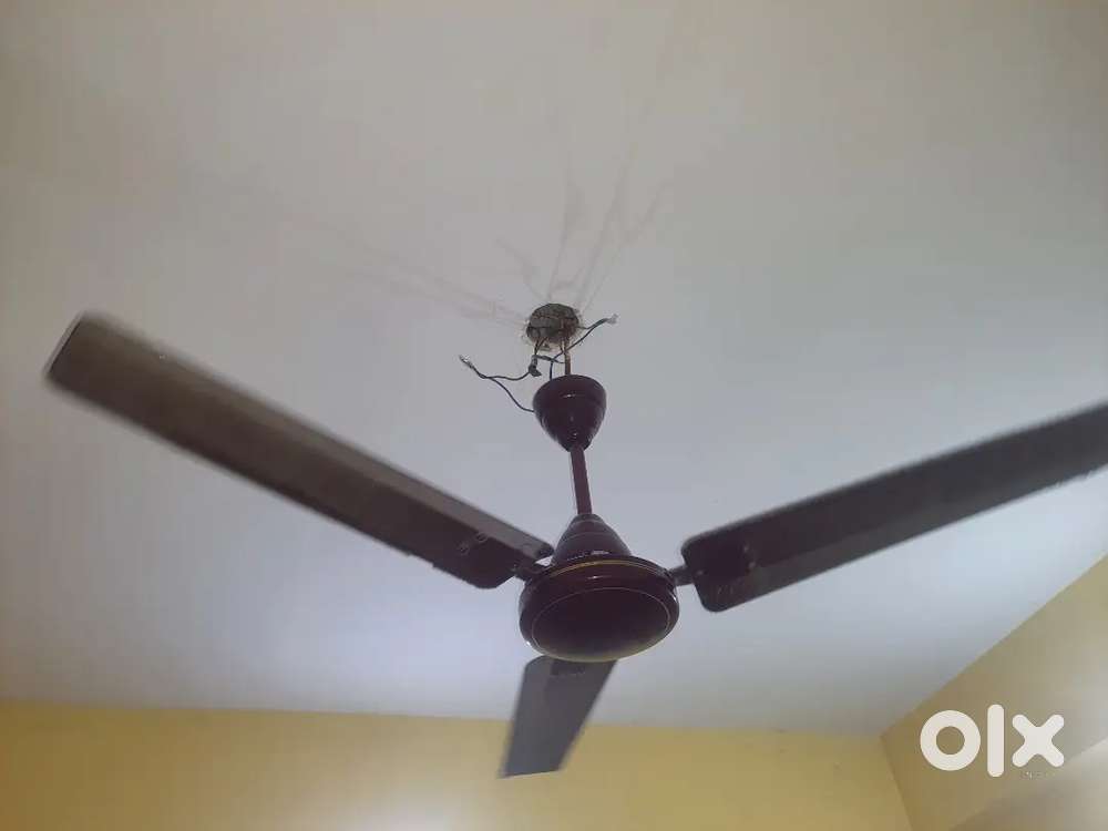 Havells Ceiling Fan