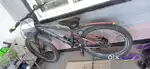 Harlan wide tyre cycle with 2 disc brakes