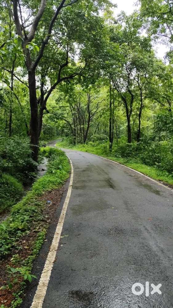 @₹15990/SQ MTS,NA PLOT FOR SALE, PONDA, AREA 300SQ MTS,