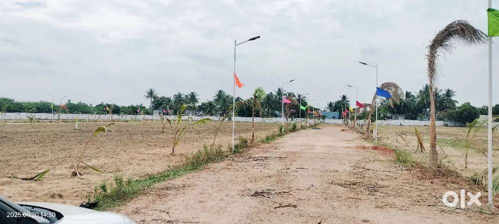 Business development manager