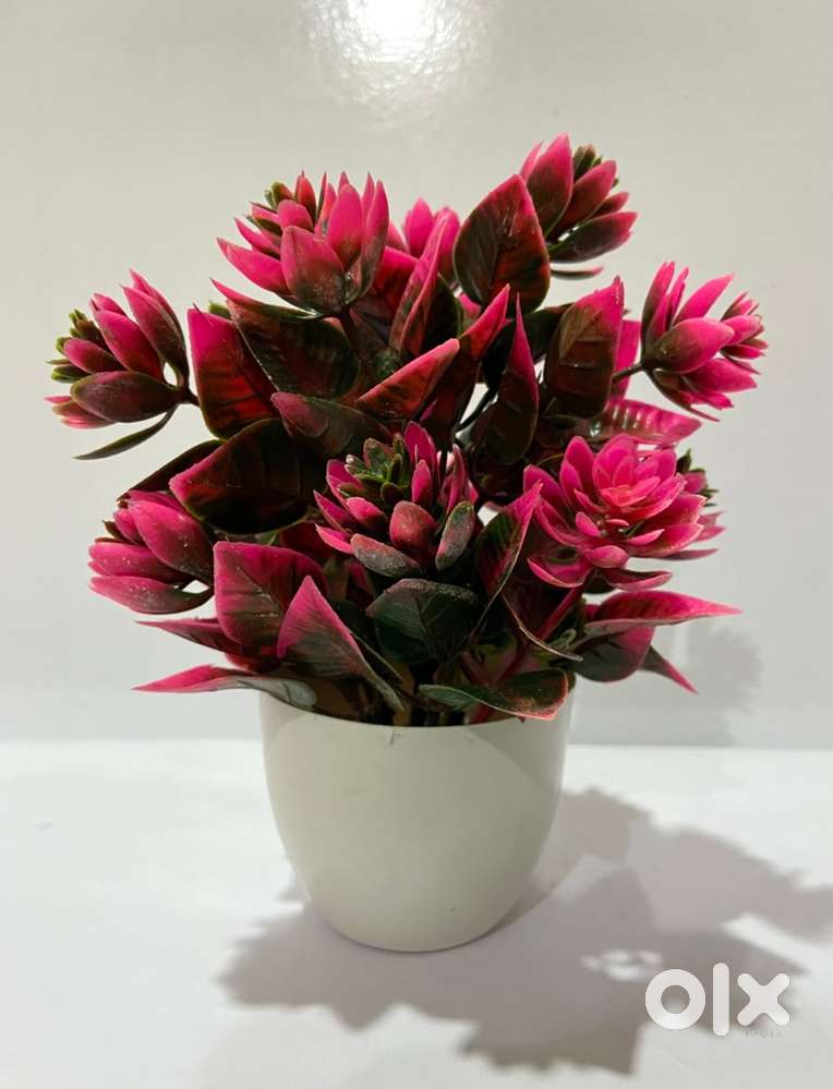25rs per pcs Home Decor Item For Shop Wholesale Purchase