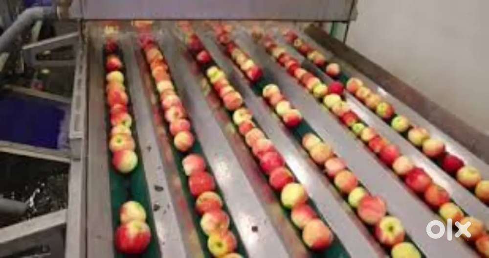 Wanted male/ female packing helpers [  partime/ fulltime]  ernakulam