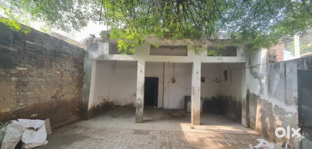 House for rent 100 gaj seperate house